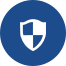 icon of
